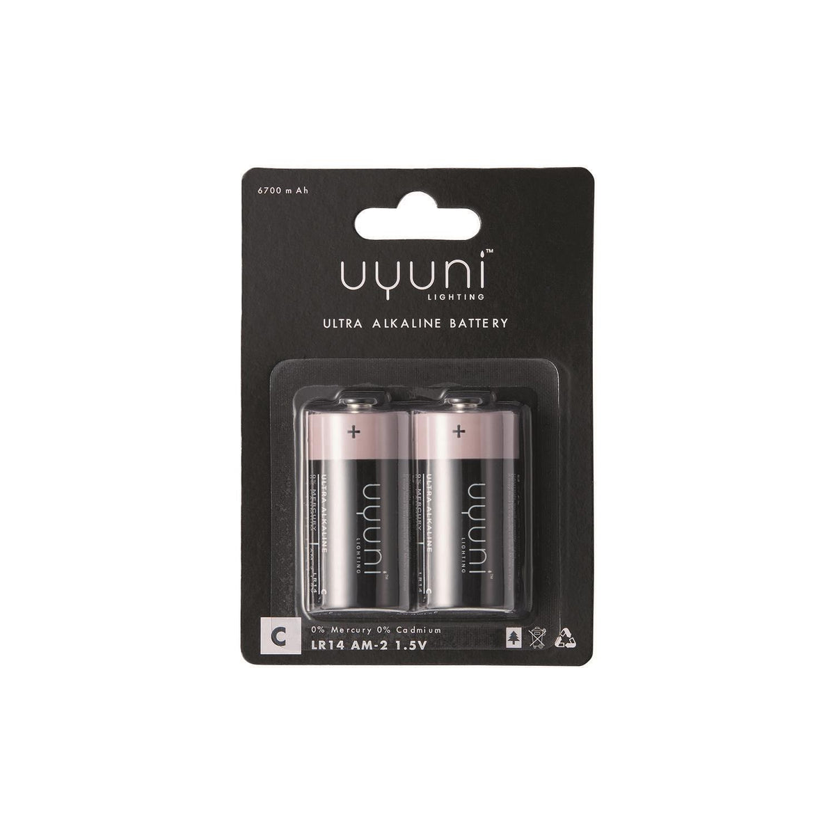 Batteri C 2 pk