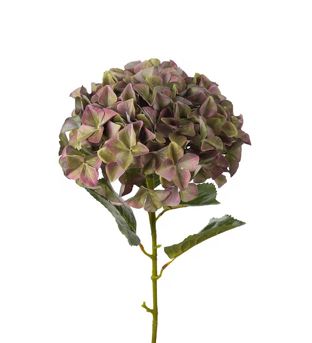 Hydrangea purple 110 cm