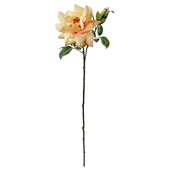 Garden rose peach 66cm