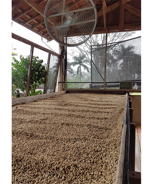 Brasil Barreiro kaffe hele bønner 250 gram