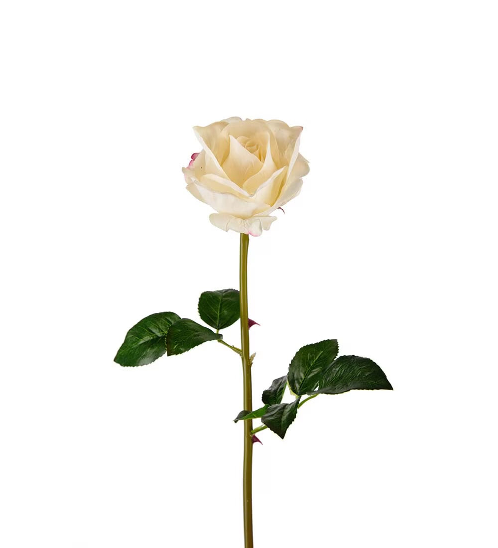 Rose hvit 65 cm