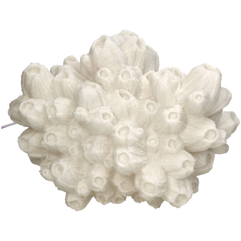 Bordlampe Coral Lotus