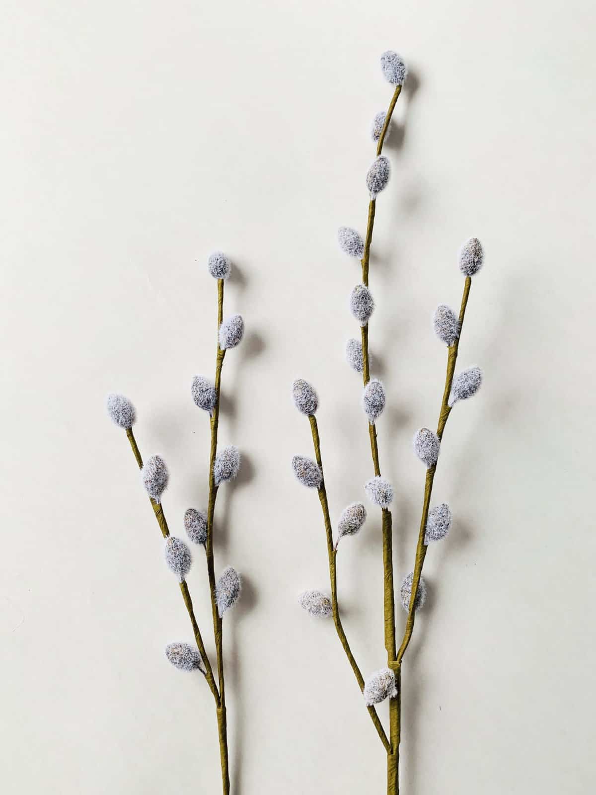 Pussy willow twigs 35 cm