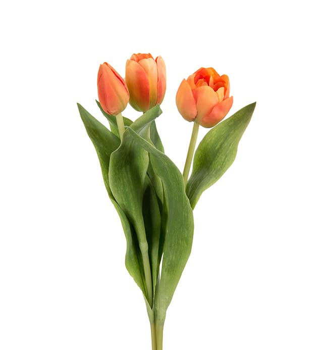 Tulipan orange 36 cm