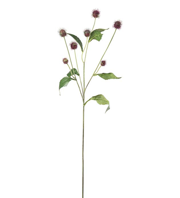 Tistel burgunder 58 cm