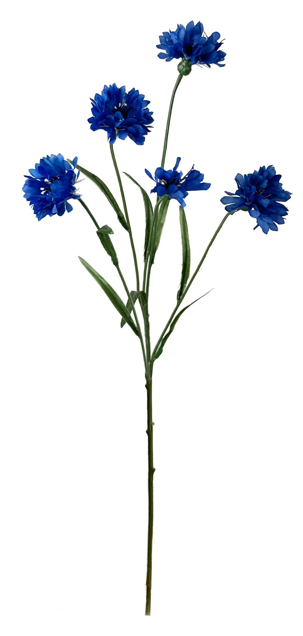 Kornblomst 57 cm