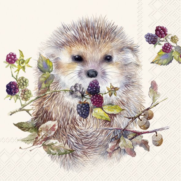 Napkin lunch forest hedgehog cream