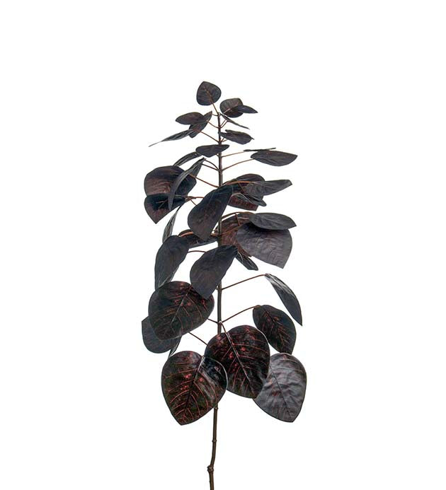 Smoke tree branch eggplant 60 cm