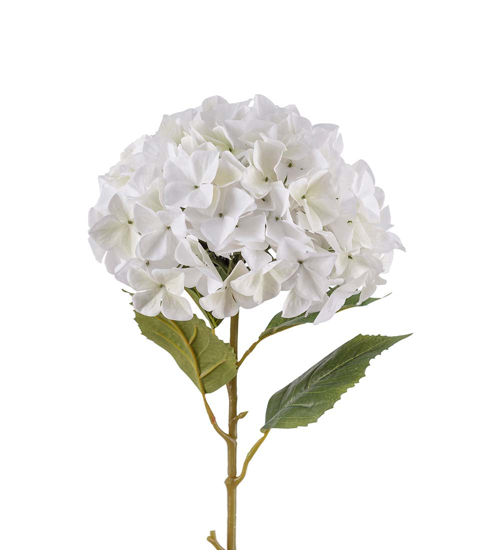 Hydrangea white 110 cm
