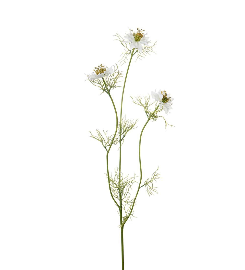 Nigella 63 cm