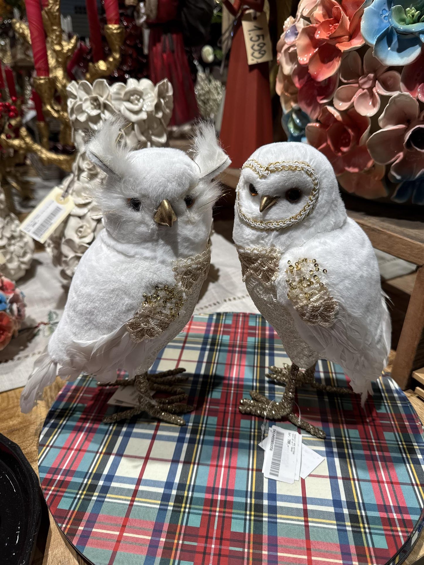 Owl 27 c