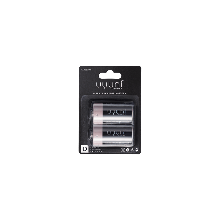 Battery D 2-pack