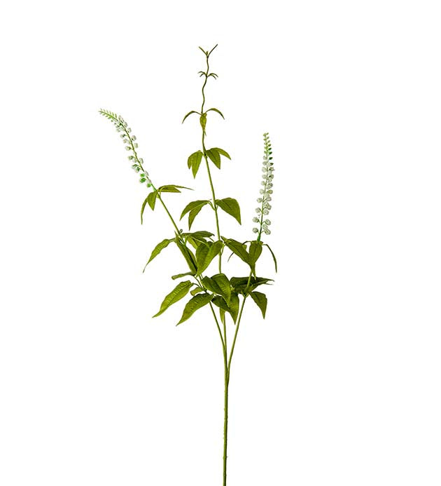 Lavendel hvit 70 cm