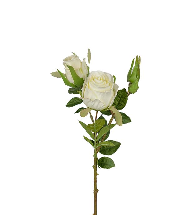 Rose hvit 40 cm