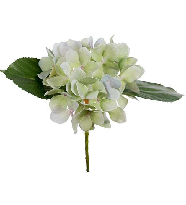 Hortensia 25 cm