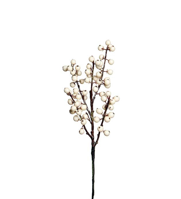 Bærkvist hvit 35 cm