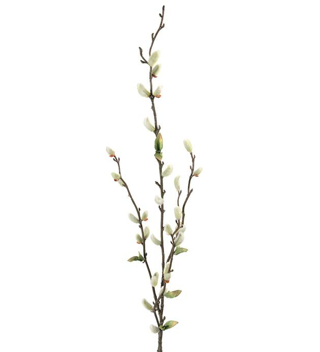 Gåsungekvist 85 cm
