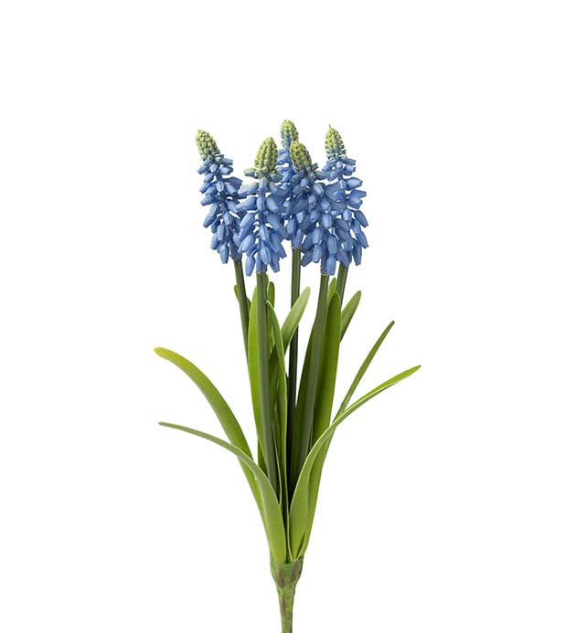 Perlehyasint 30 cm