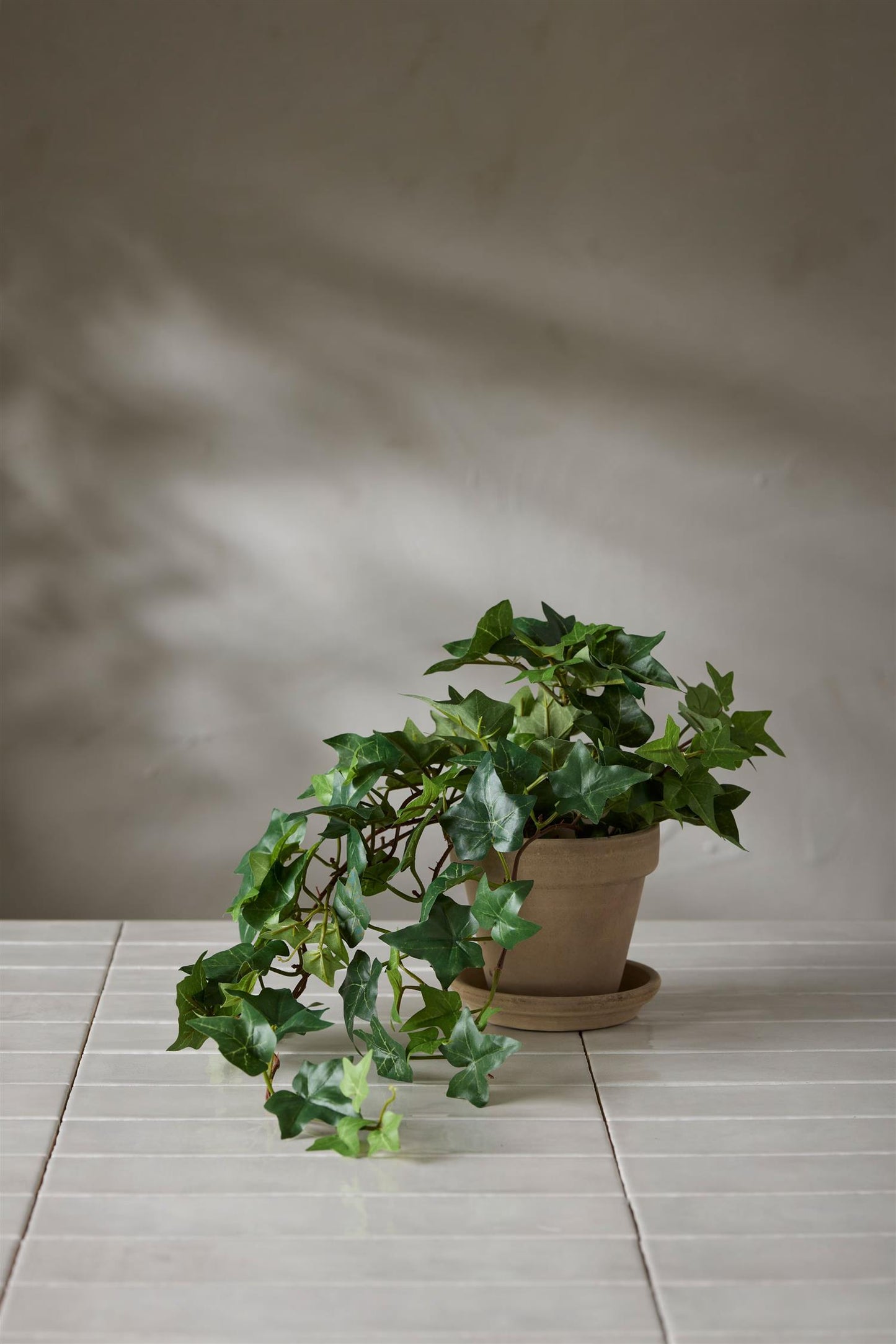 Ivy hanging plant in pot 60 cm