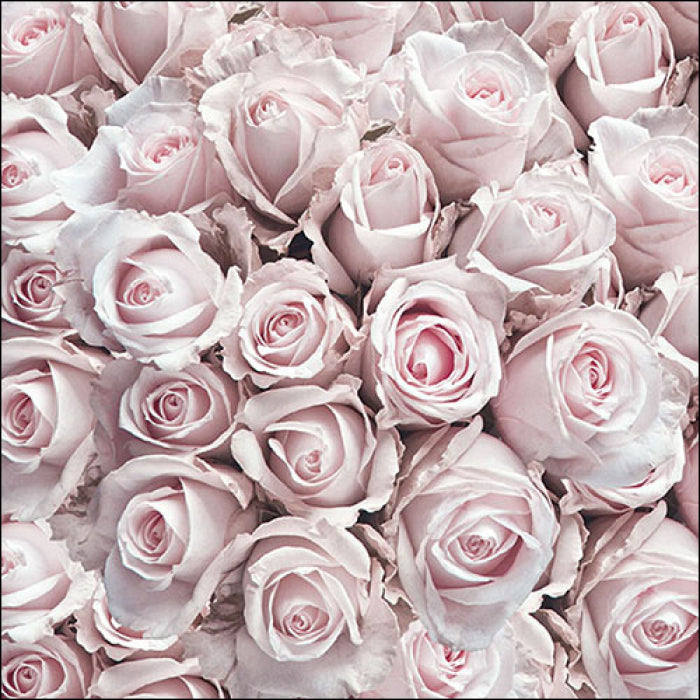 Serviett lunch pastel roses