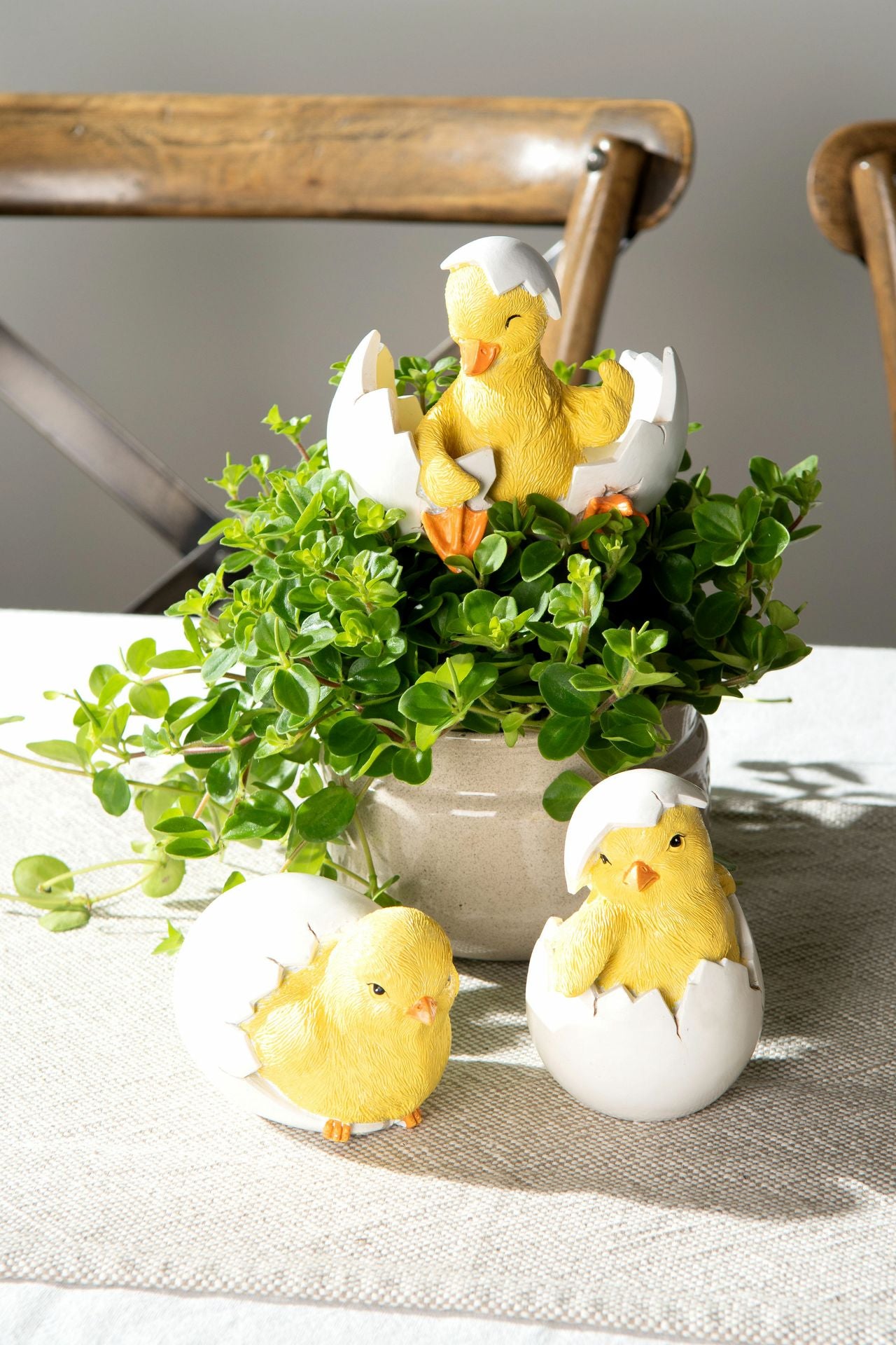 Tittut kylling 10 cm