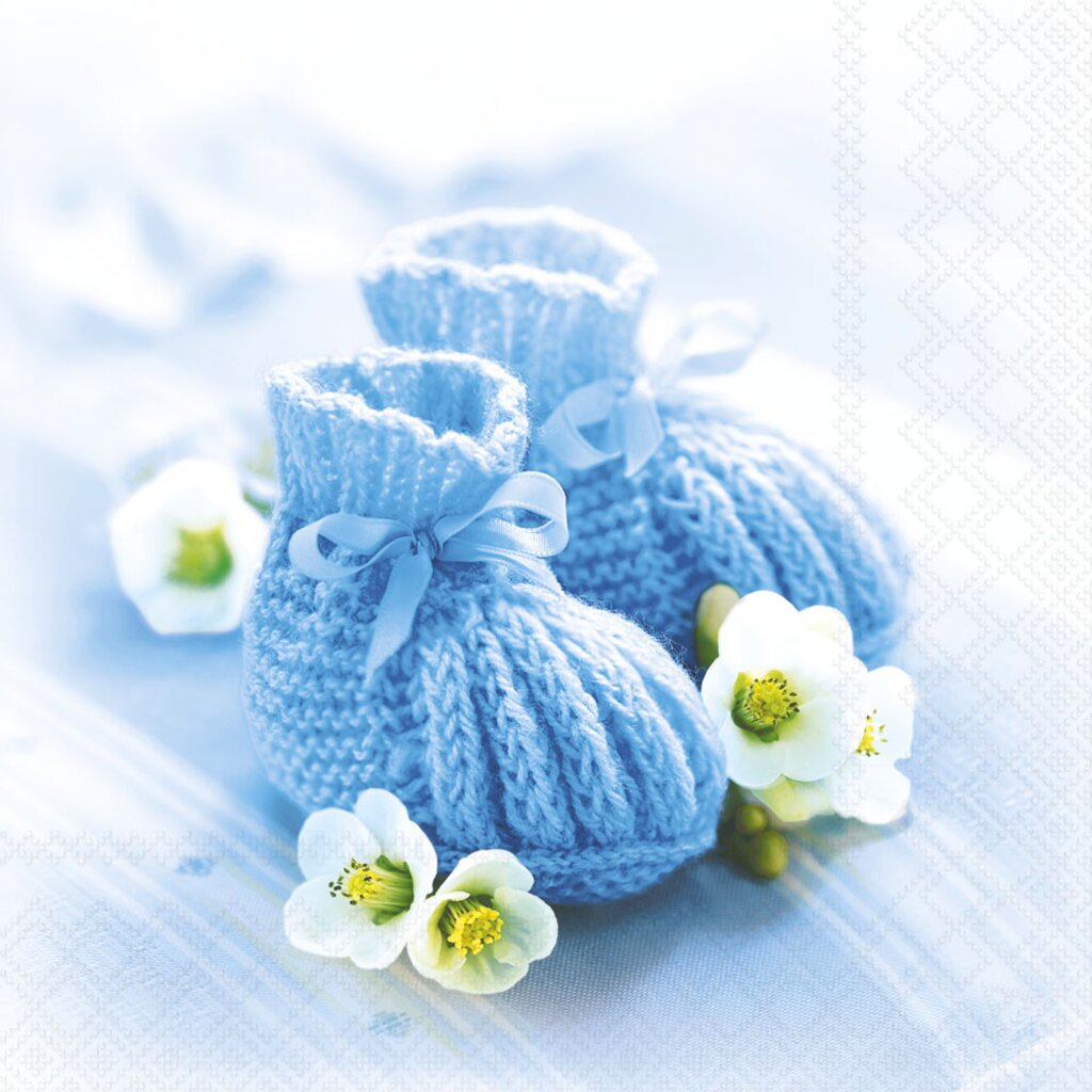 Serviett lunch Knitted shoes blue
