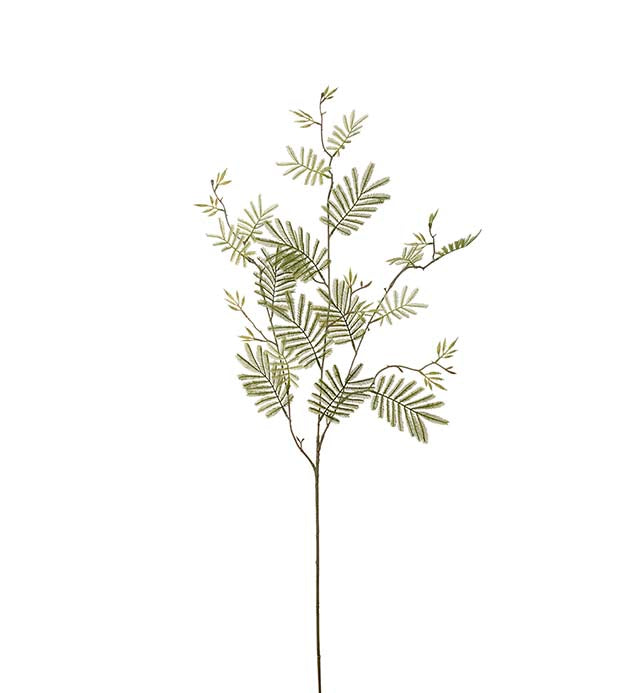 Mimosa branch 110 cm
