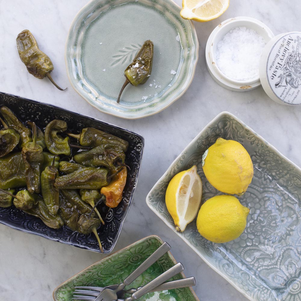 Ildfast form 23x15 cm Seaweed