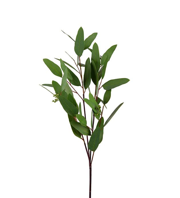 Eucalyptus grønn 80 cm