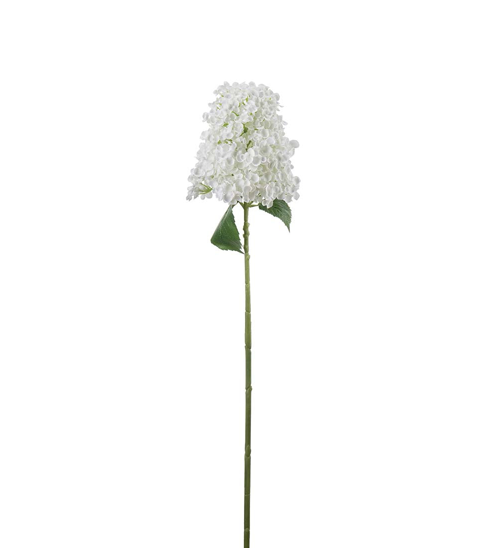 Syrinhortensia hvit 84 cm