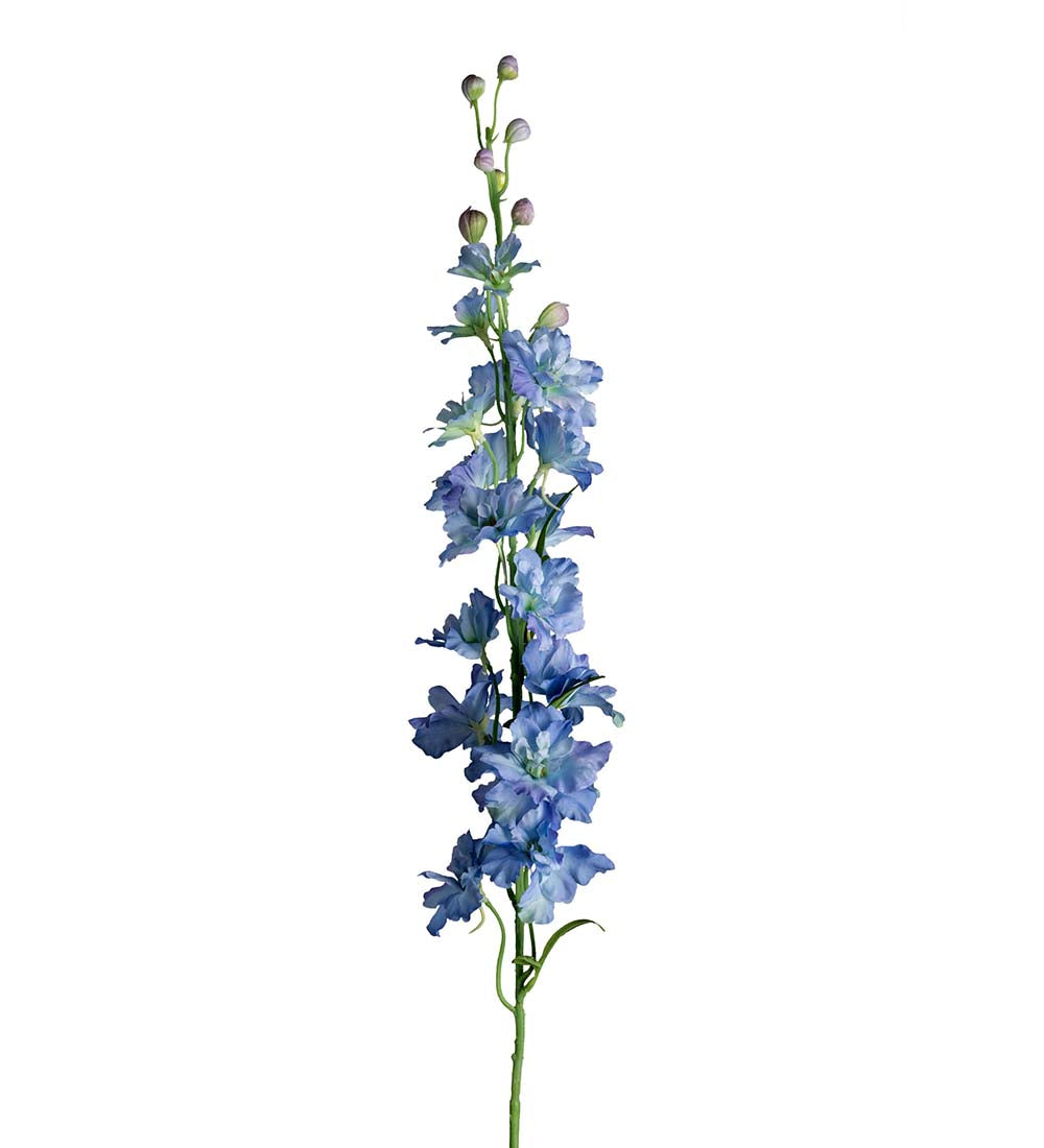 Delphinium light blue 90 cm