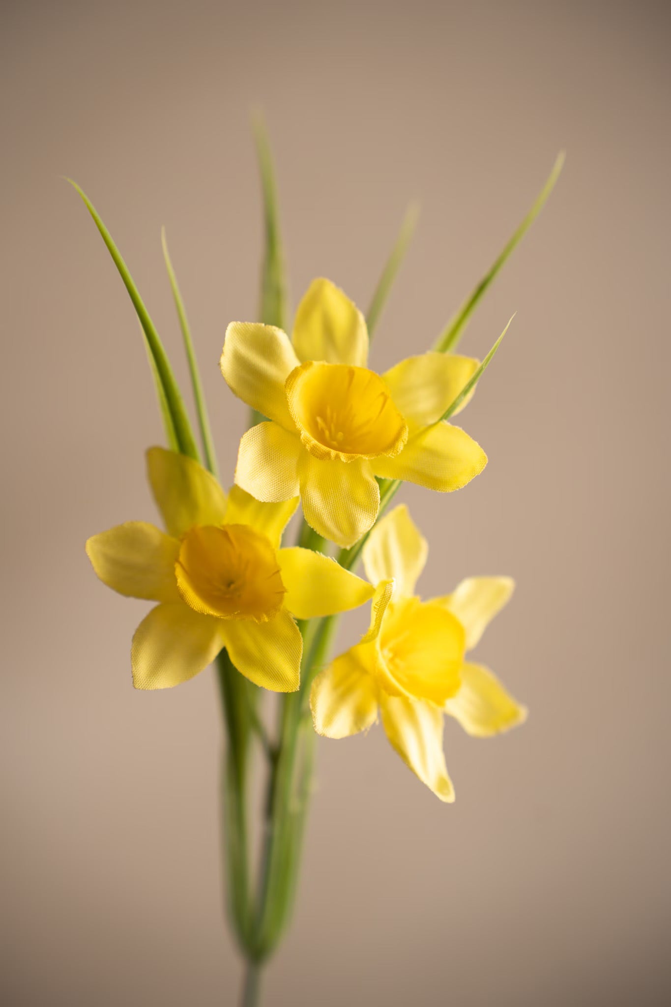 Påskelilje gul 27 cm