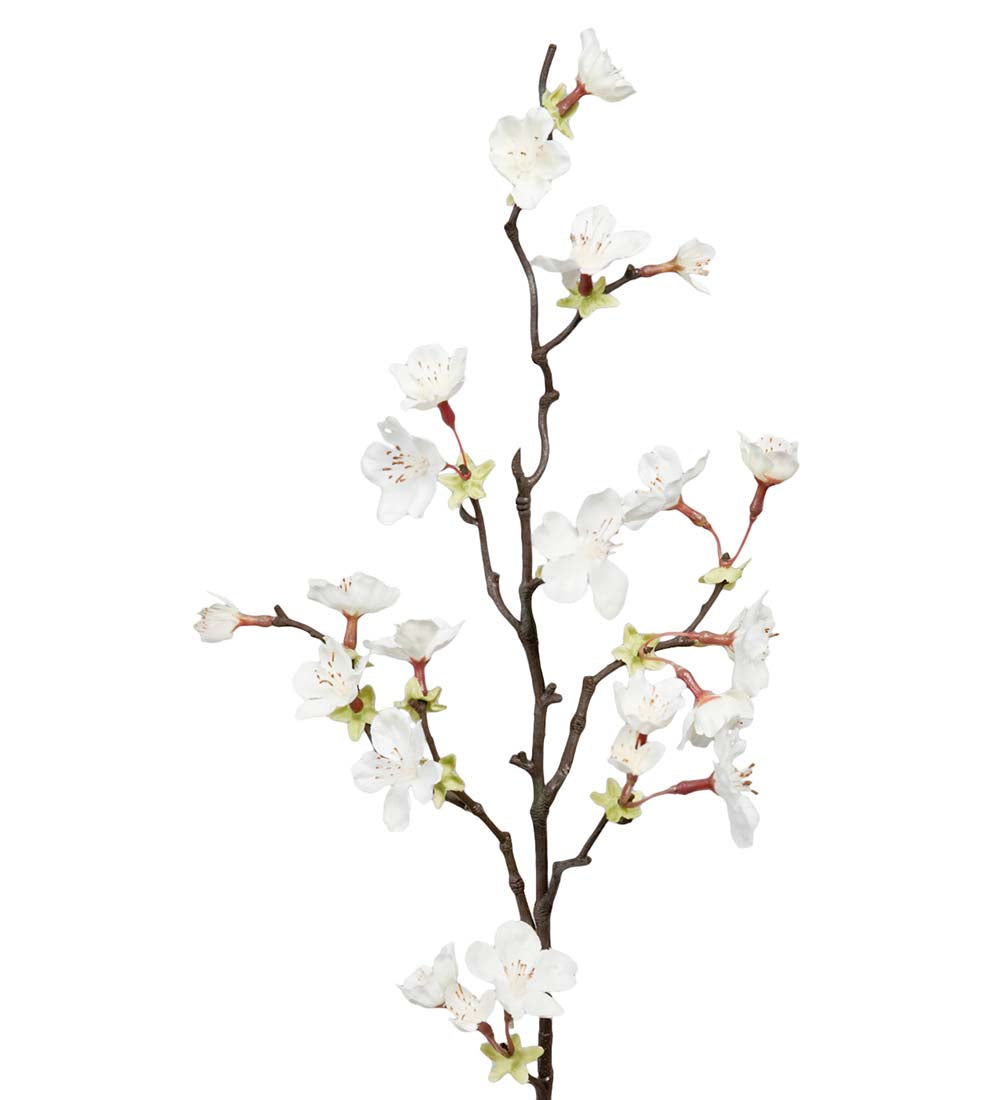 Kirsebærblomst hvit 60 cm