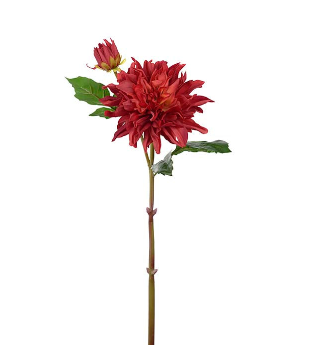 Dahlia dyp rød 70 cm