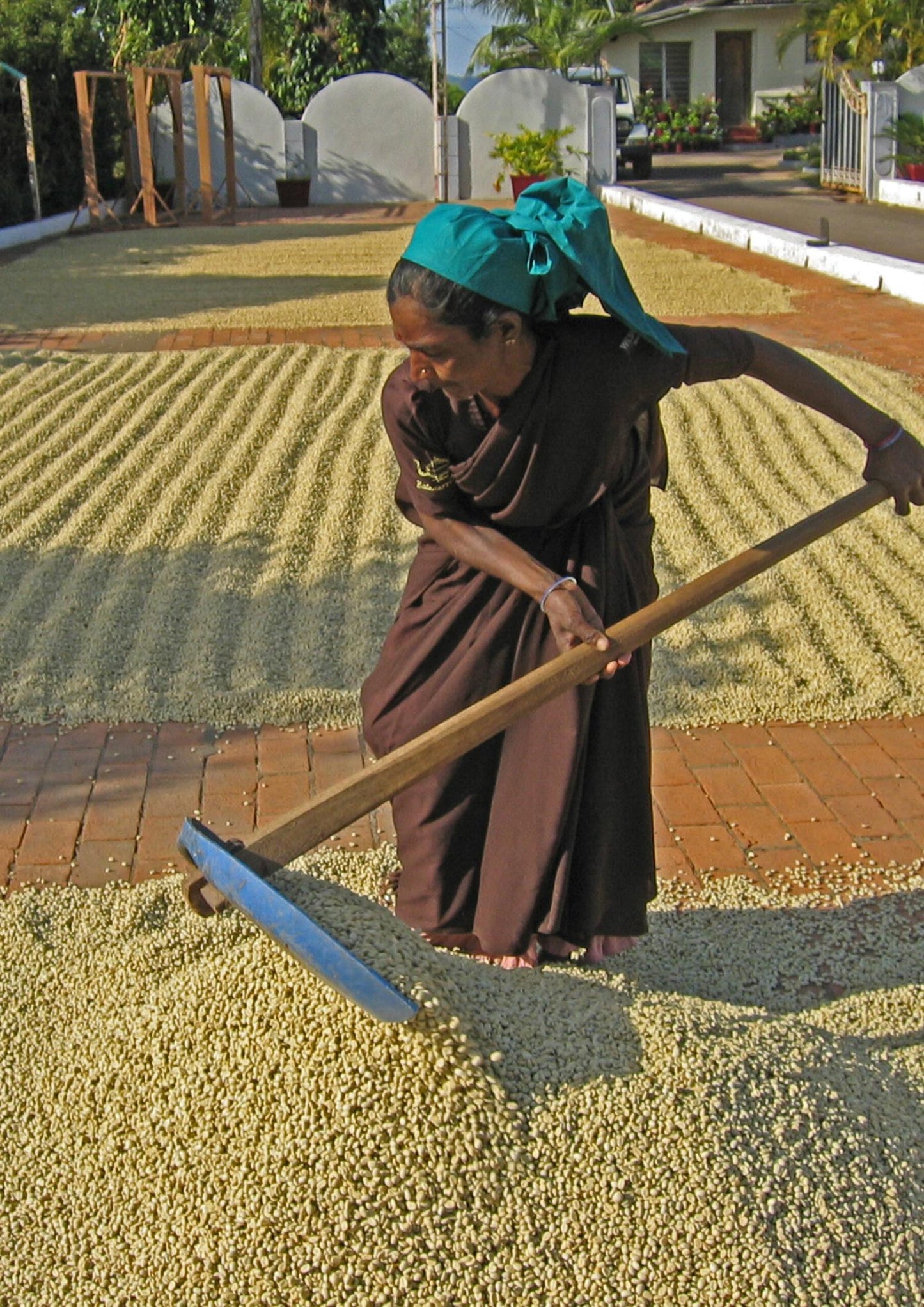 Malabar Monsooned kaffe hele bønner 250 gram