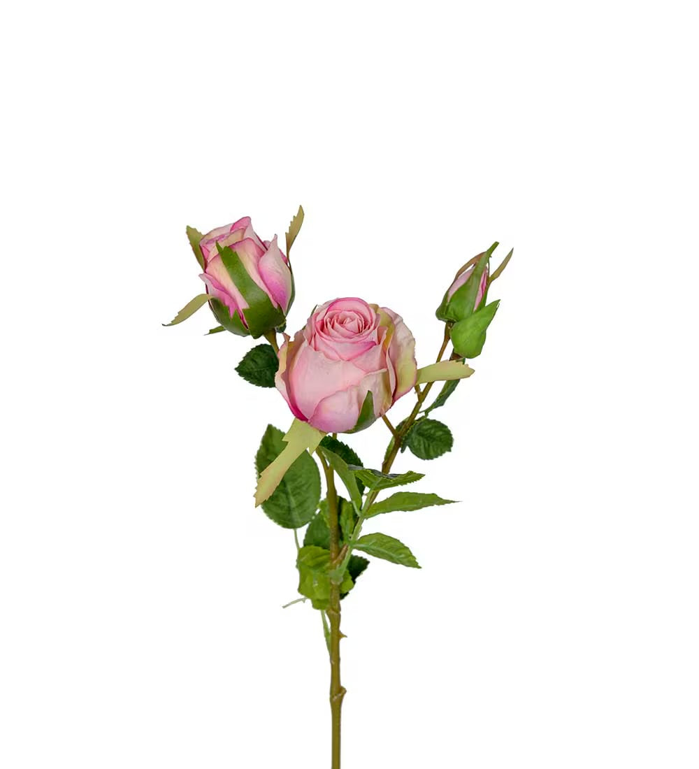 Rose rosa 40 cm