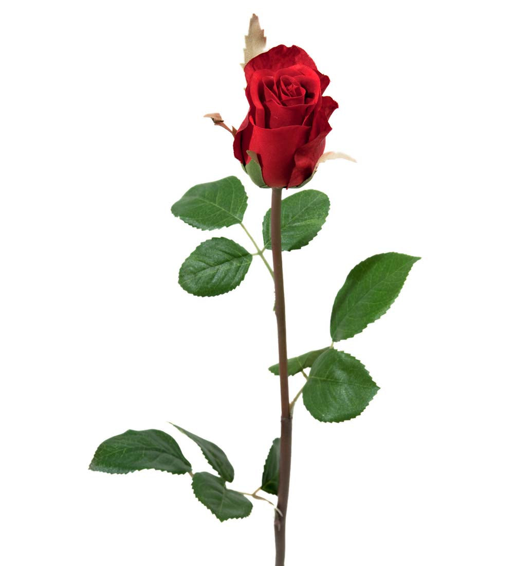 Rose rød 50 cm