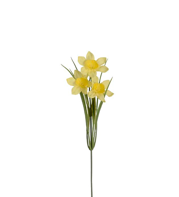 Påskelilje 27 cm