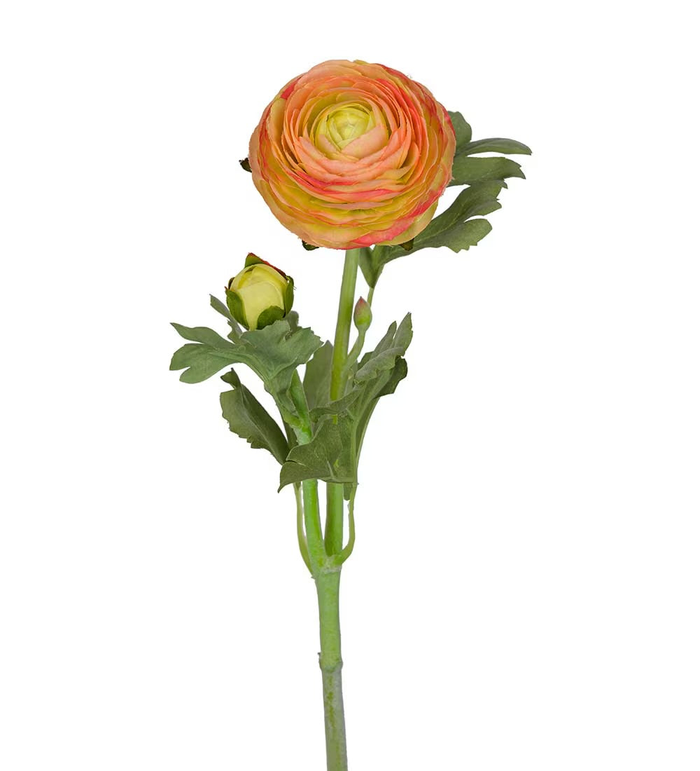 Ranunculus orange 50 cm