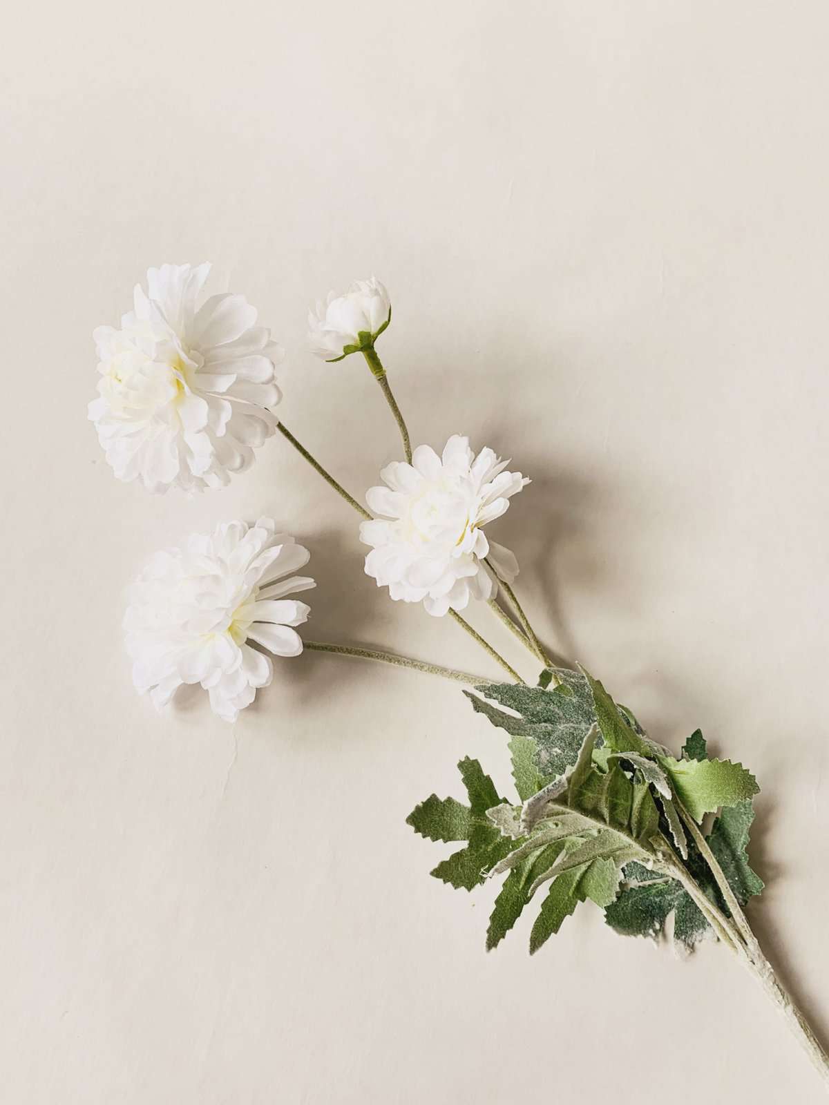 Krysantemum hvit 59 cm