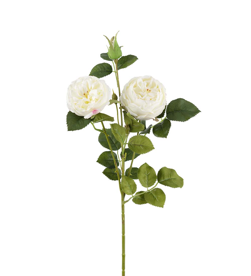 Rose gren hvit 60 cm