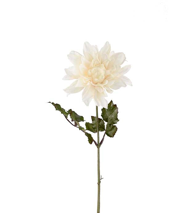 Dahlia hvit 45 cm