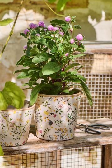 Blomsterpotte Meadow Blossom 14 cm