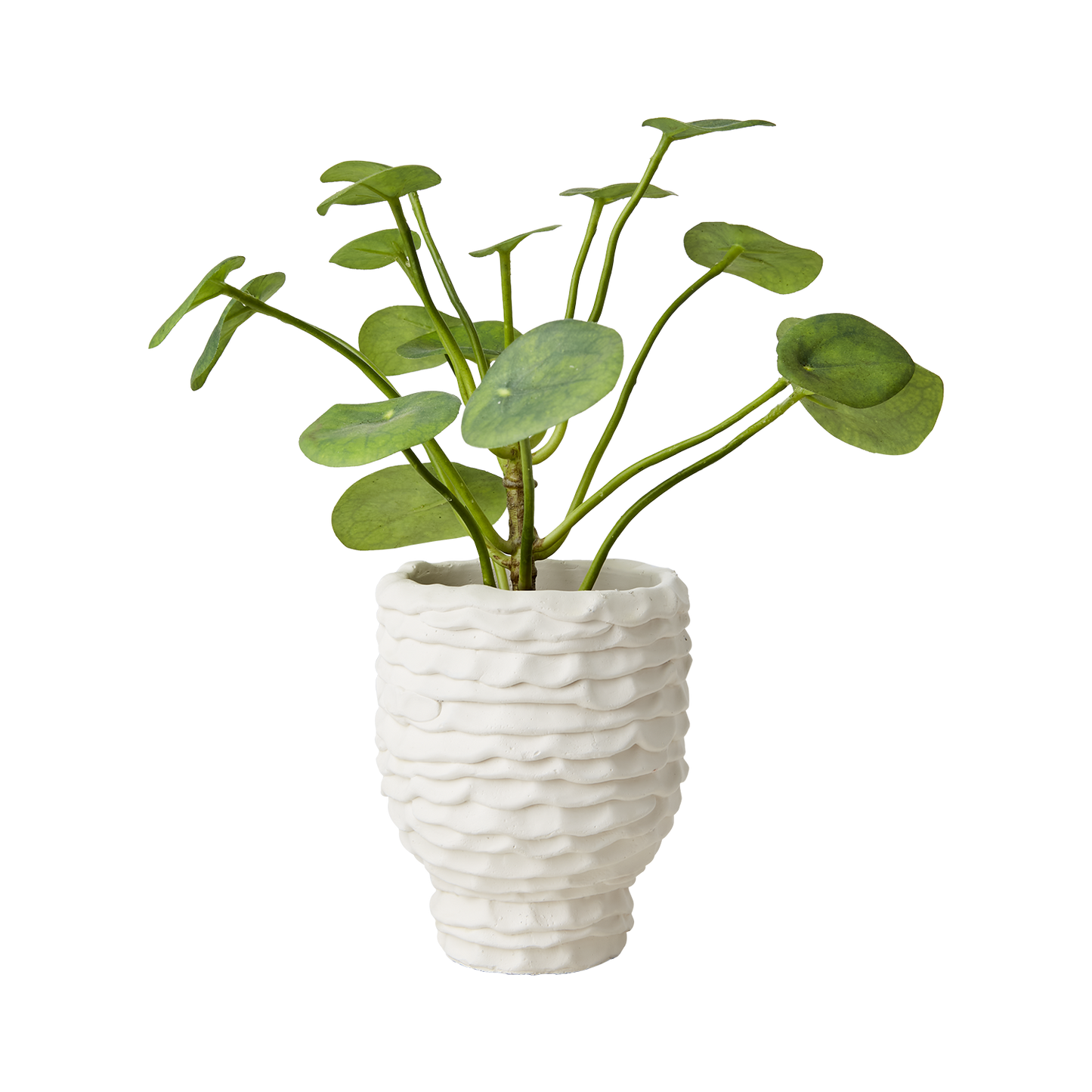 Cream krukke 11 cm