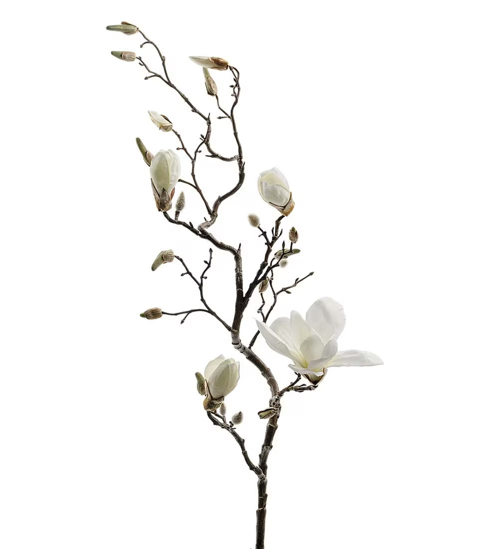 Magnolia branch white 135 cm