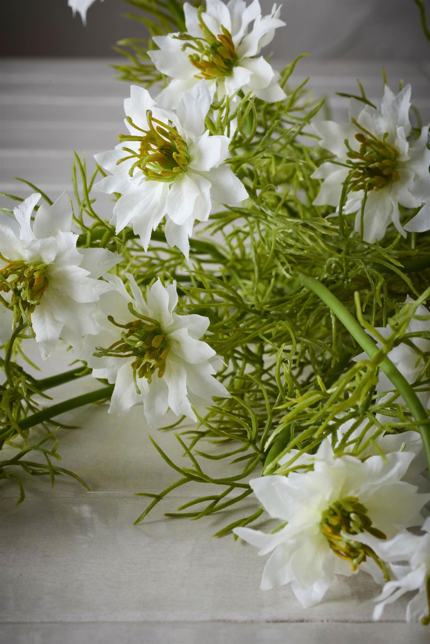 Nigella hvit 63 cm