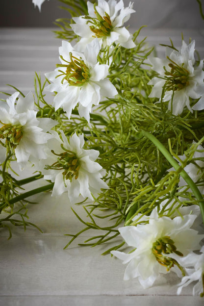 Nigella hvit 63 cm