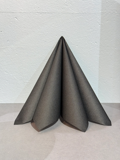 Napkin dinner textile touch black