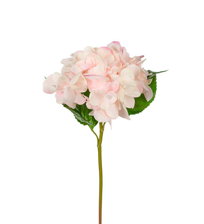 Hortensia lys rosa 55 cm