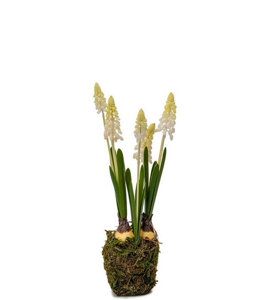 Perlehyasint hvit 25 cm